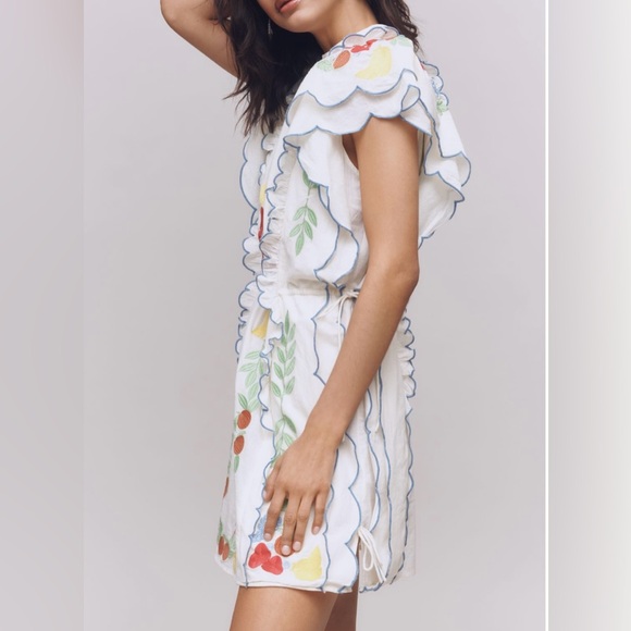 Farm Rio Embroidered Ruffle Mini Tunic Dress - Picture 5 of 15